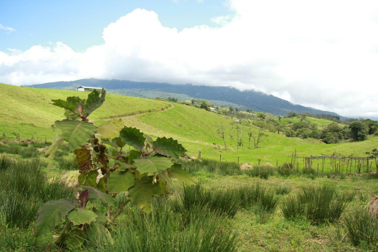 Casa Volcano Panoramic View Vara Blanca  Zewnętrze zdjęcie